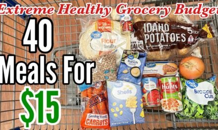 Dirt Cheap EASY Healthy Family Dinners | Emergency Grocery Budget-Friendly Meal Plan | Julia Pacheco