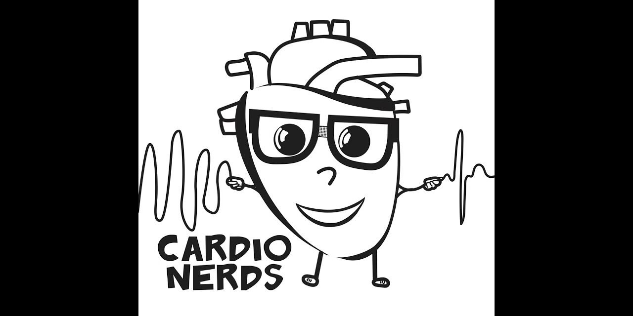 161. Lipids: EPA and DHA Deep Dive with Dr. Erin Michos