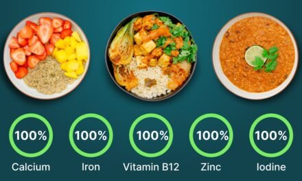 I made the world's healthiest meal plan (vegan + high protein)