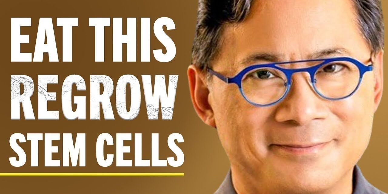 Top Food Hacks To Regenerate Stem Cells, Boost Brain Health & Improve Circulation | Dr. William Li