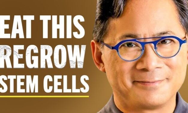 Top Food Hacks To Regenerate Stem Cells, Boost Brain Health & Improve Circulation | Dr. William Li