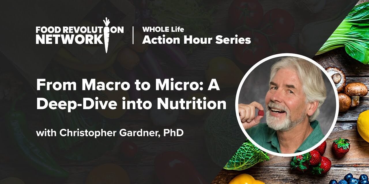 From Macro to Micro: A Deep-Dive into Nutrition